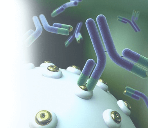 Иммунотерапия