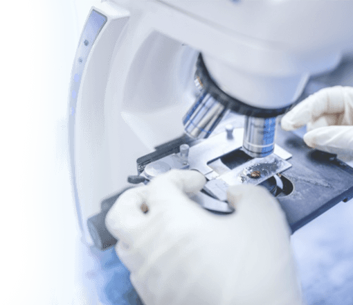 Молекулярно-генетические тесты