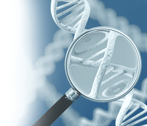 Таргетная терапия